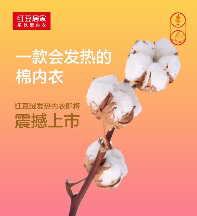 恒峰g22绒发热内衣3